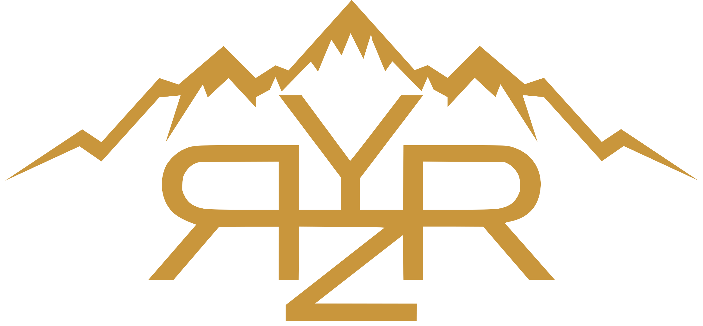 RYZR Rehab
